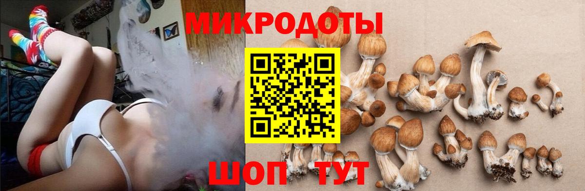 Псилоцибиновые грибы мухоморы  Вход с VPN  Галлюциногенные грибы ЛСД  Туапсе 